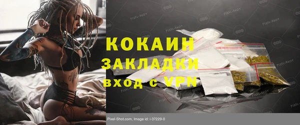 индика Новый Уренгой
