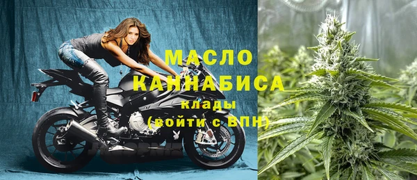 молекула духа Михайлов