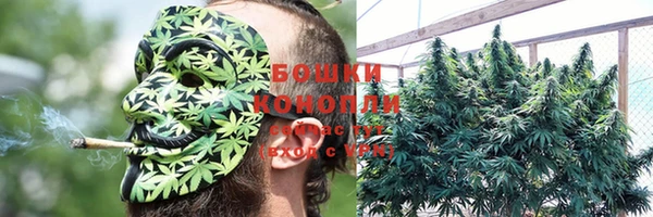 ПСИЛОЦИБИНОВЫЕ ГРИБЫ Михайловка