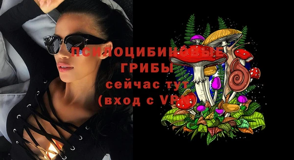 молекула духа Михайлов