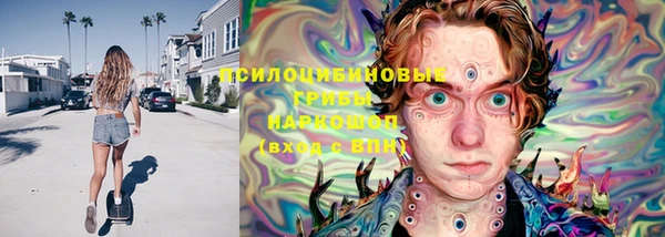 ПСИЛОЦИБИНОВЫЕ ГРИБЫ Михайловка