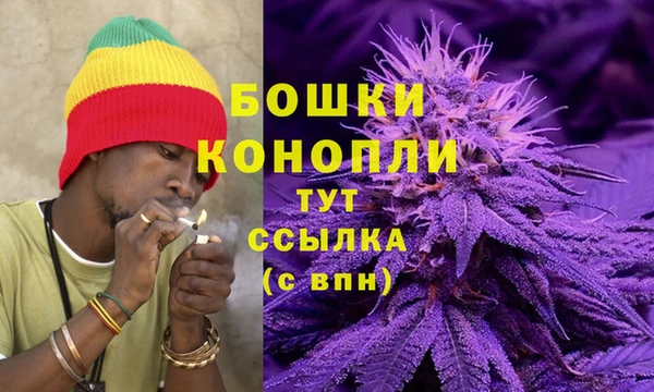 молекула духа Михайлов